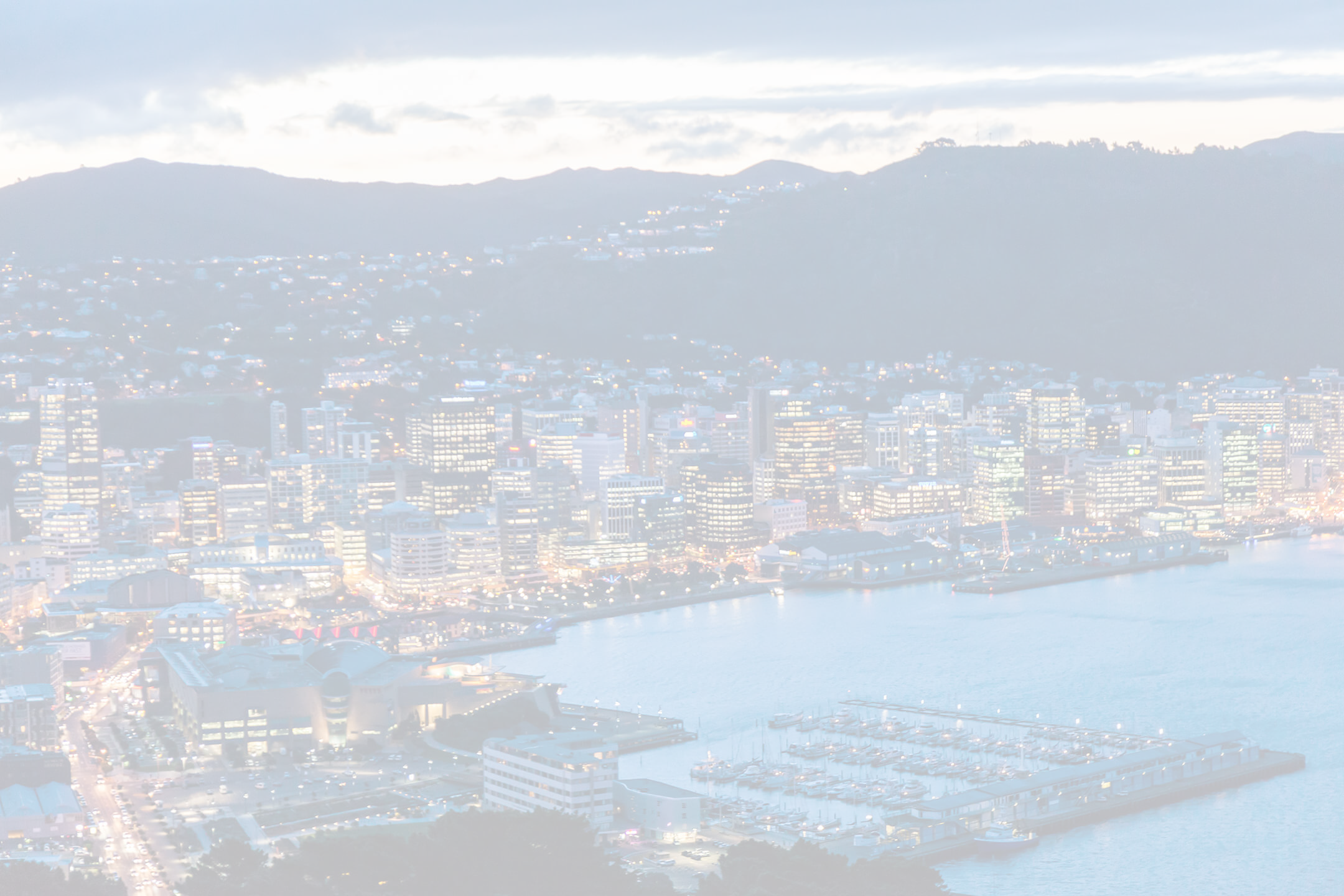 White wash image of Wellington