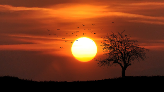 Blog image sunset-01.png
