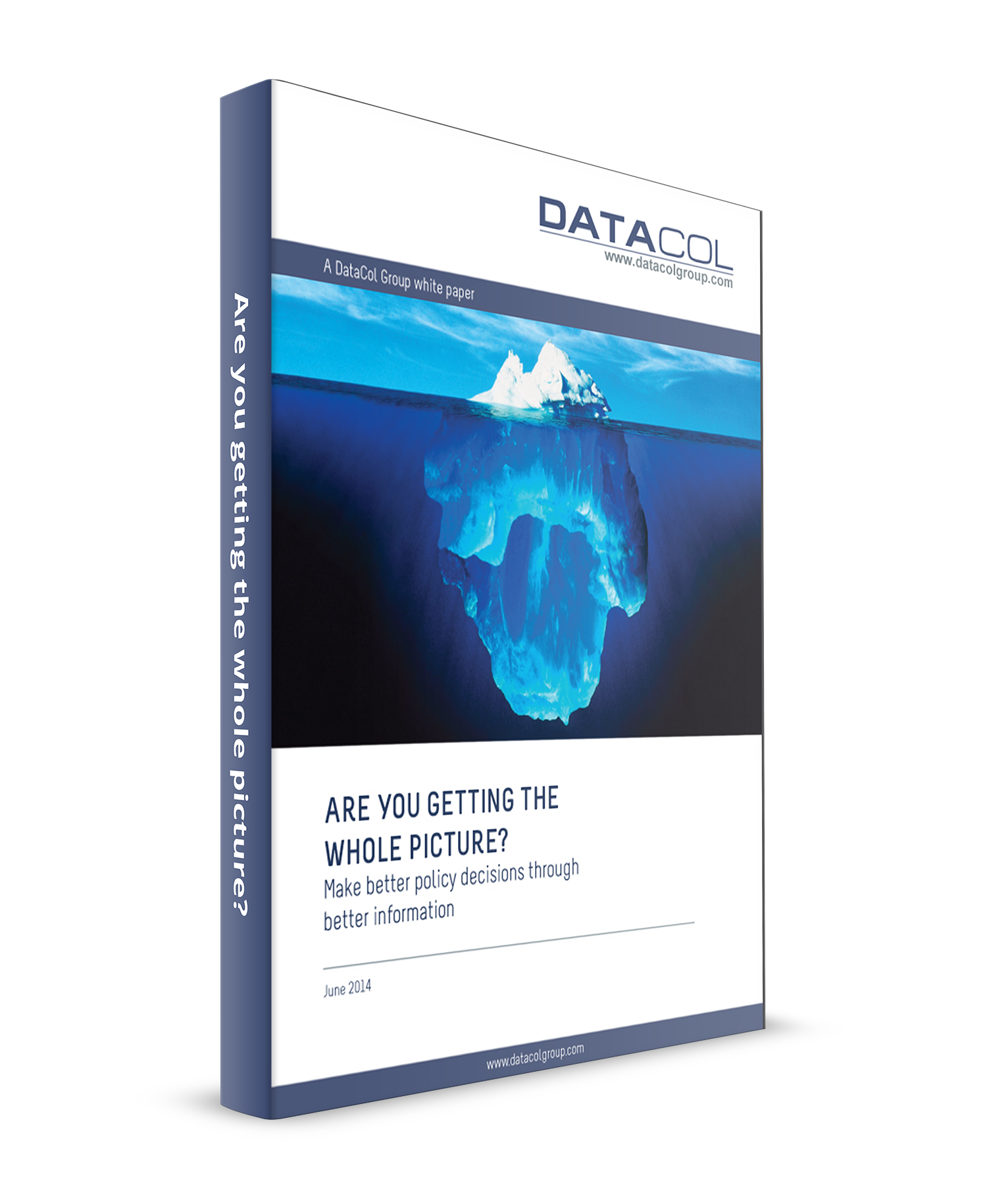 DataCol Smarter Data Whole Picture WP 3Dcover.png
