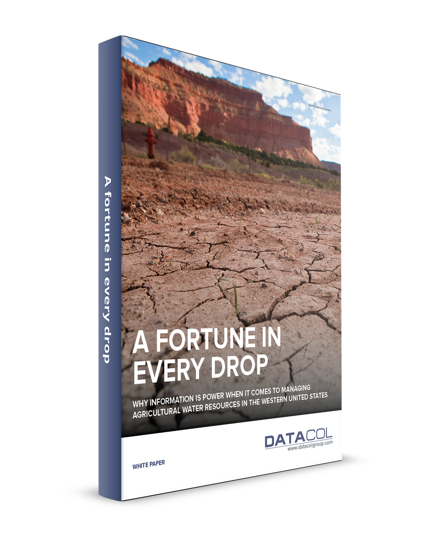 DataCol 3D Fortune WP cover.png