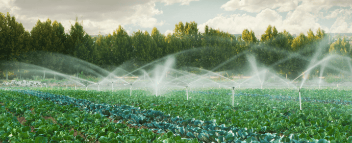 Irrigation perspectives - Blog hero NOV25-1