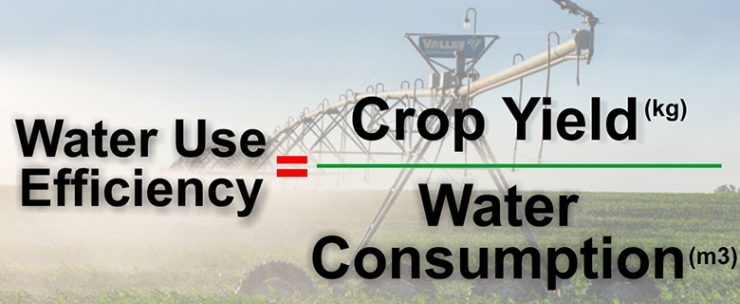 Water use efficiency