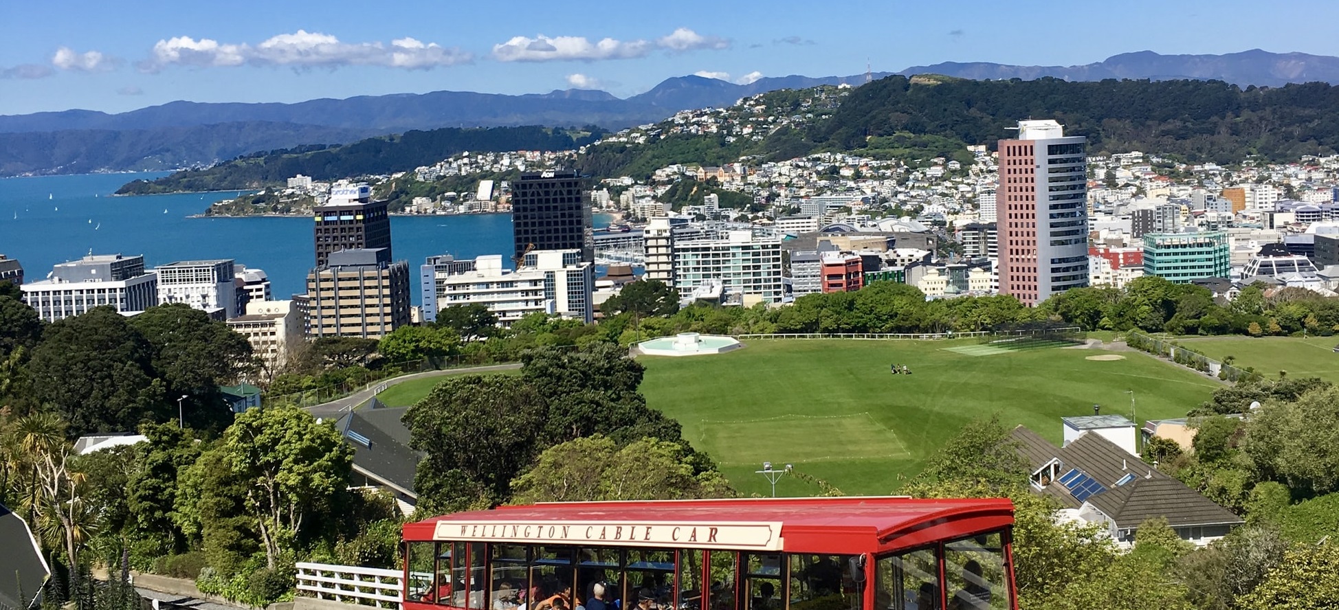 Wellington landscape